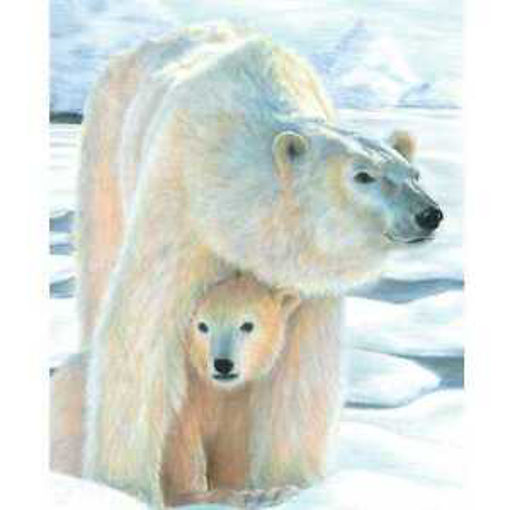 Picture of PENCIL COLOURING BY NUMBER - POLAR LOVE